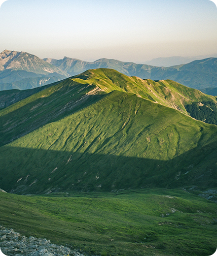 a154345d50002fbb4d8f567eaa2395a8