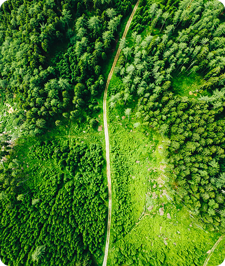 ba9967e211bb9fd7078de7704f38706e