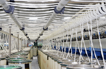 0772cc12c7b7b762e7343e254f568d11