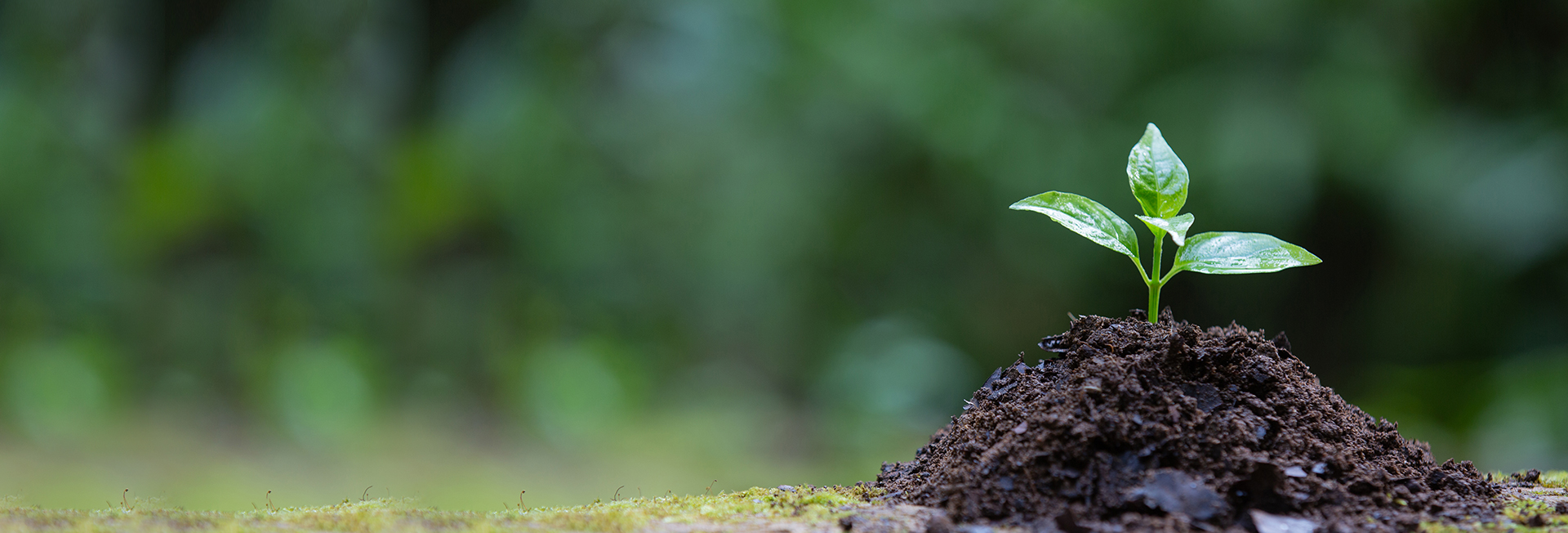 5c82487f86855b7d19d8cf2761b6d9ce