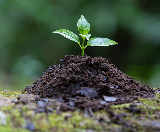 615b1517a4435d98552f87426468a635