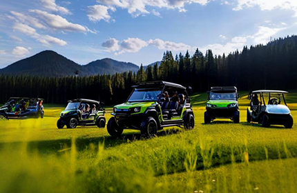 d1dc3f81e1c61ef291d86a56960ad96c